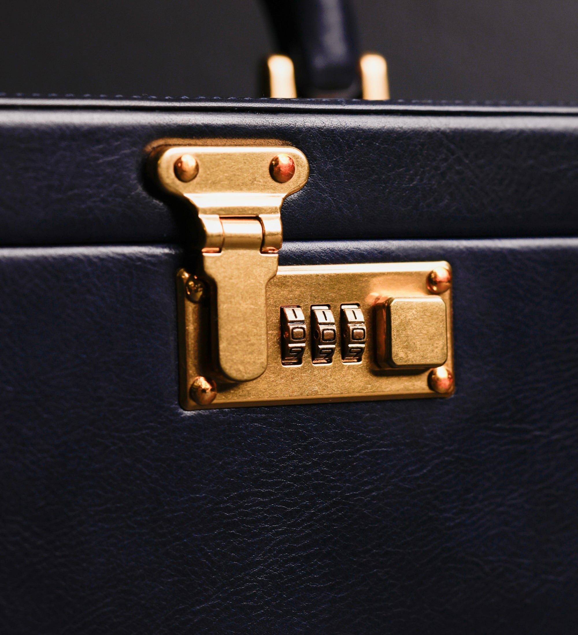 Duża szkatułka na biżuterię ze skóry dla kobiet - The Portrait of a Lady