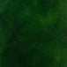 Zielony