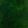 Zielony